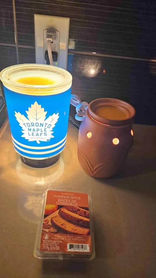 2 Scented Waxers for sale