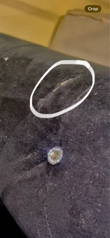 Velvet rolled Sofa Willow Arlo image indicator(2)