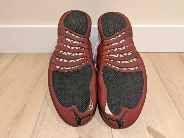 Retro 2009 Cherry Air Jordan 12s Size 13 image indicator(3)