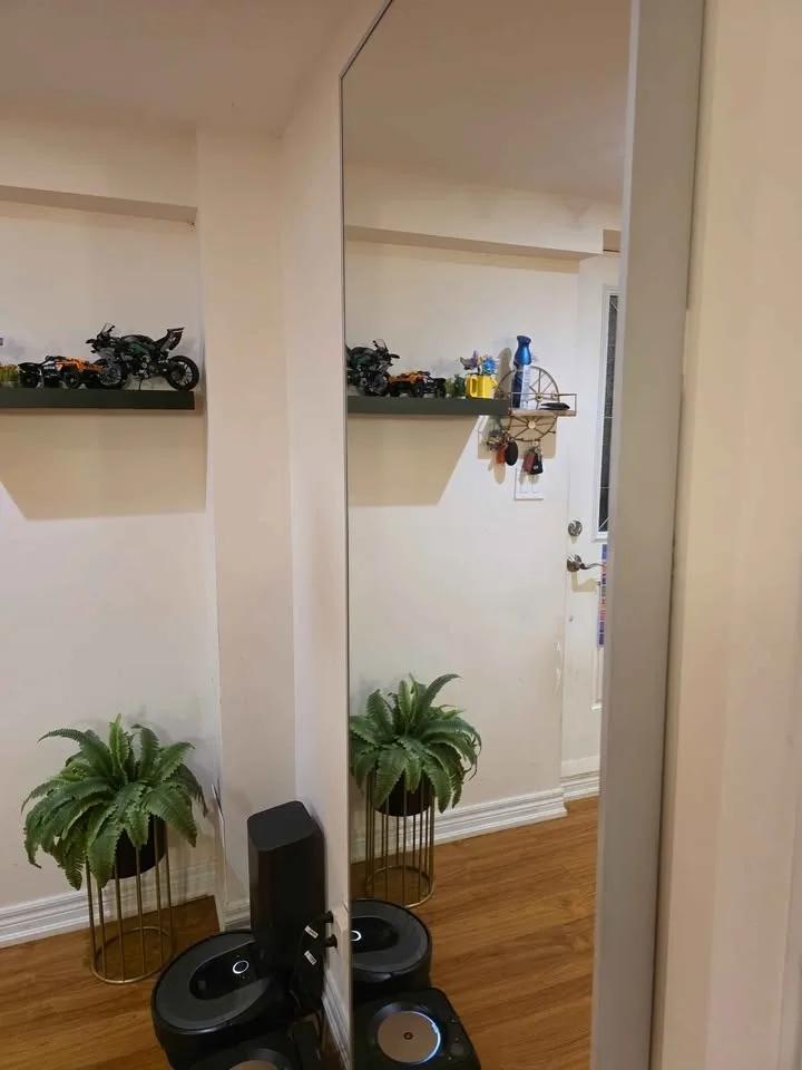 Full size mirror image indicator(2)