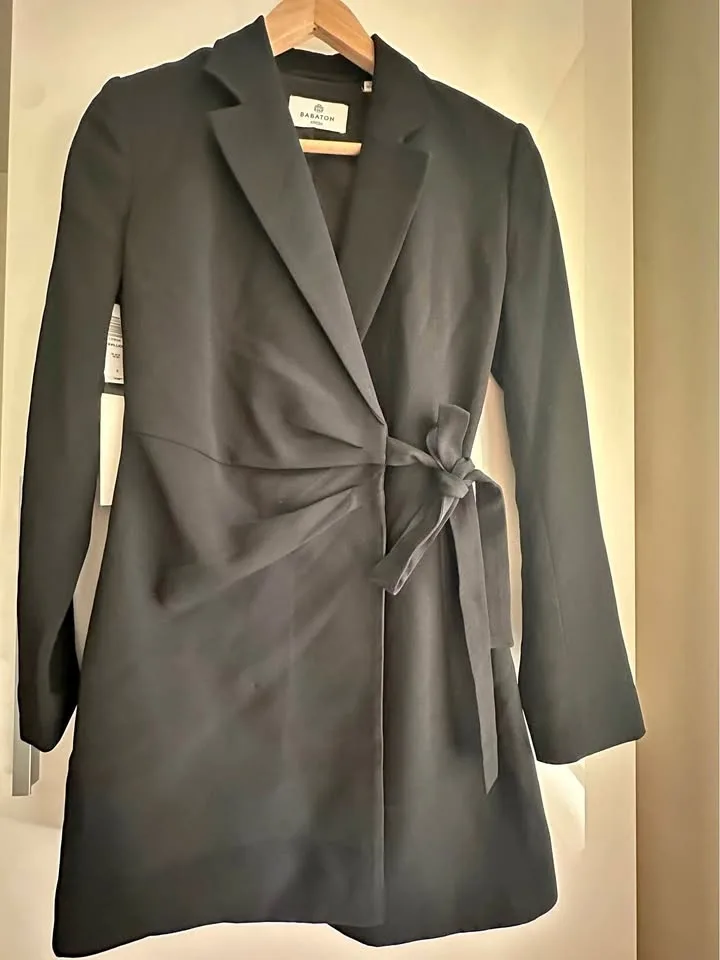 Aritzia blazer dress in black