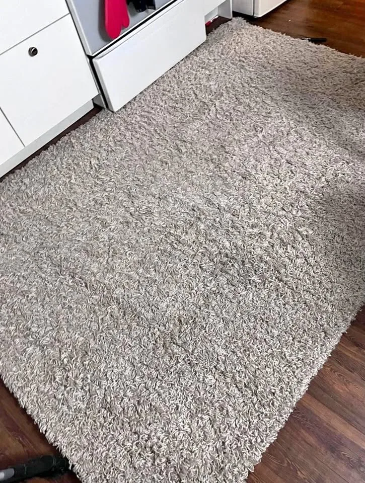Gray Shaggy Rug carpet