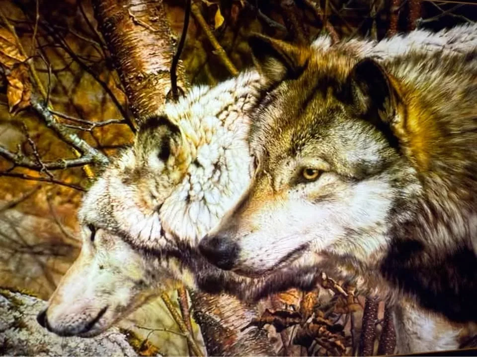 Carl Brenders “The Companions” image indicator(7)