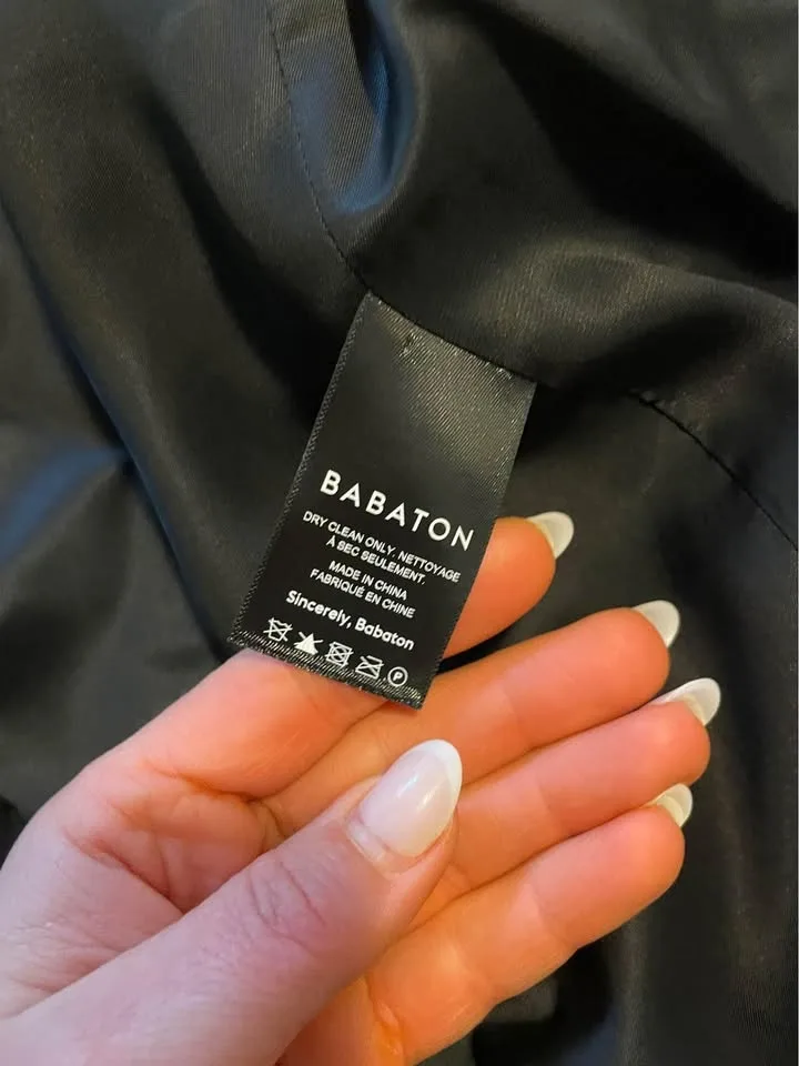 Aritzia Babaton Blazer image indicator(3)