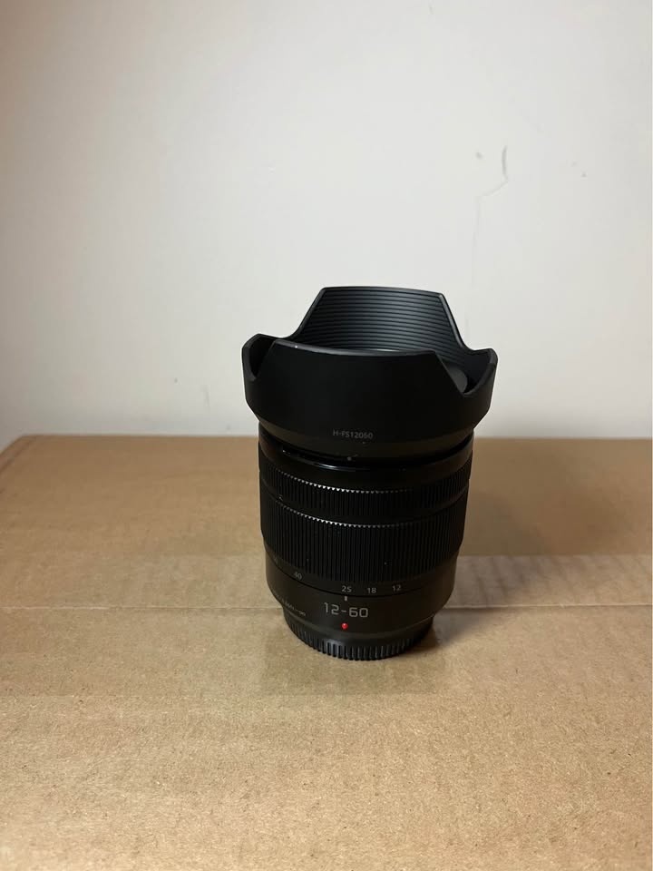 Lumix 12-60mm f/3.5-5.6 - photo 2