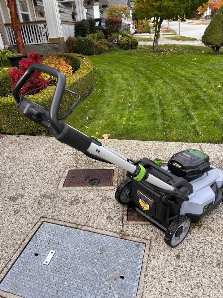 Yard Care - Moving Sale - EGO - photo 2