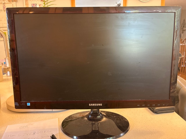 Samsung 23.6 inch LED* Monitor Series 3 (S24C300HL)
