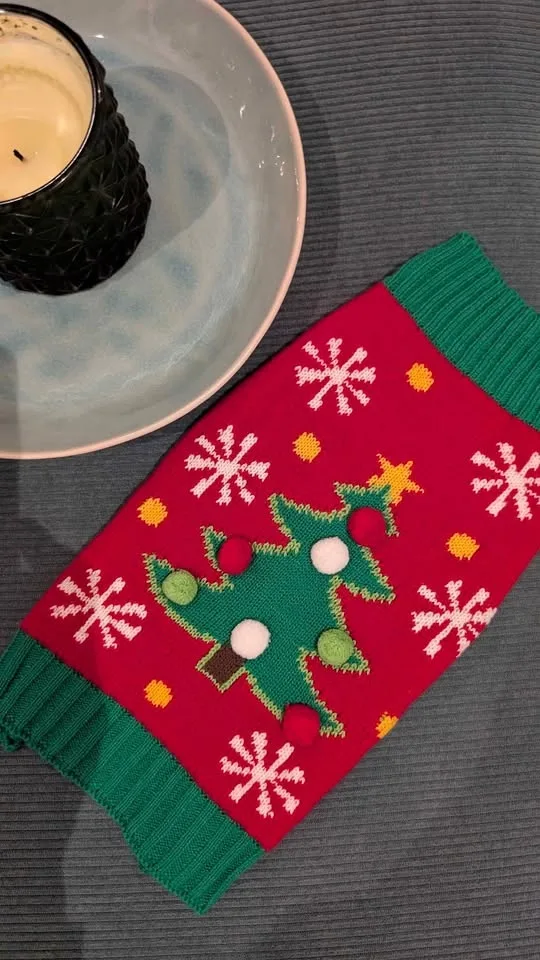 Ugly Christmas Sweater for a Dog
