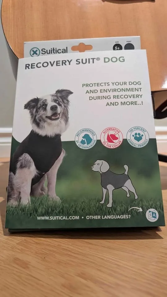 Small Dog Surgery Onesie