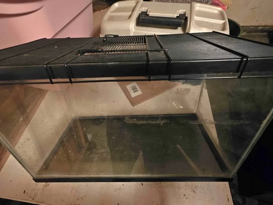 Small Fish/lizard tank