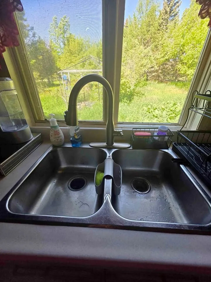 Sink and faucet