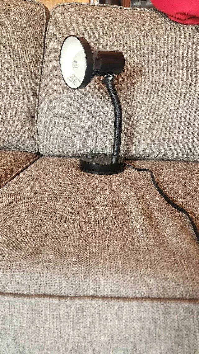 Desk Lamp