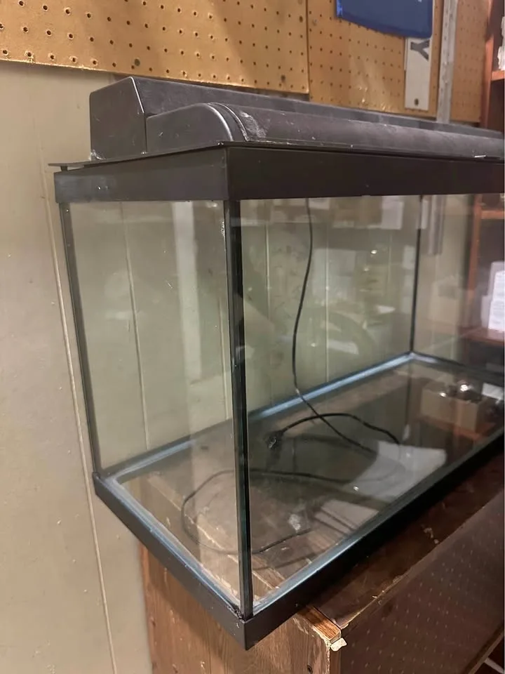 20gal tank w/ stand including accessories