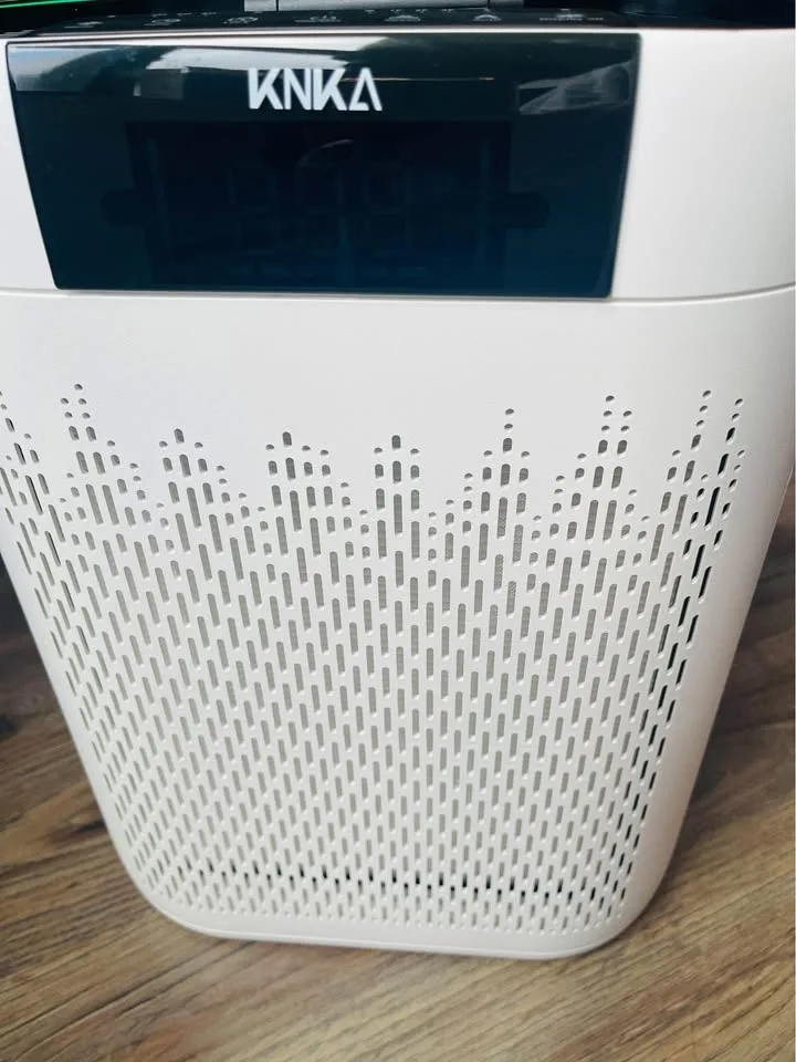 Home Large Air Purifier up to 1740 Ft² image indicator(2)