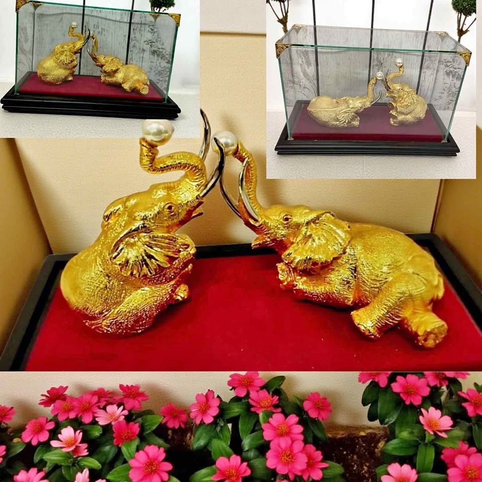 Good Luck Elephants