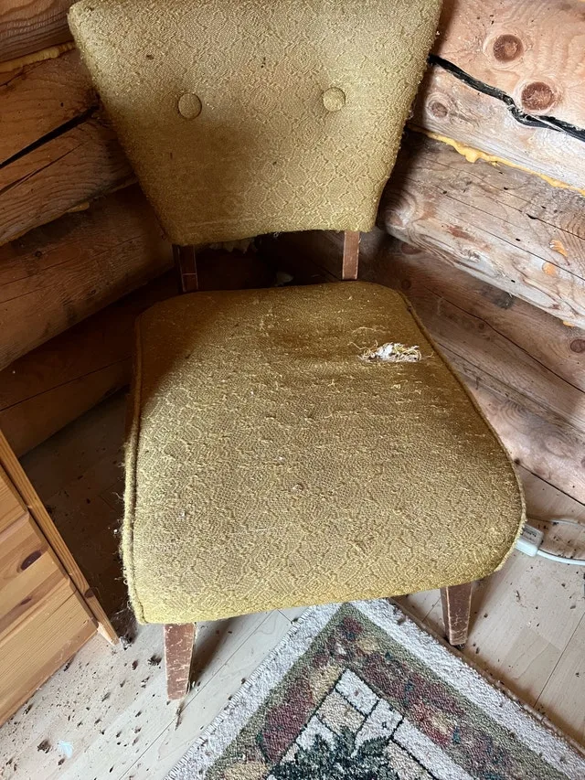 Vintage chair