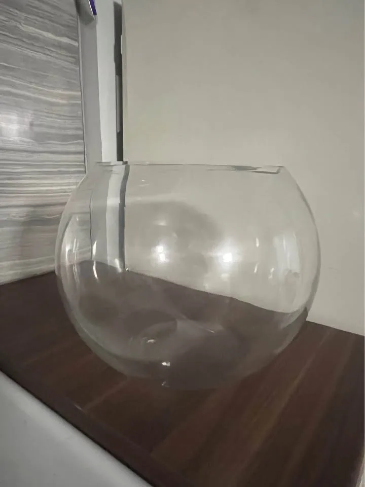 Thick Fishbowl bubble 8.5inch diameter image indicator(2)