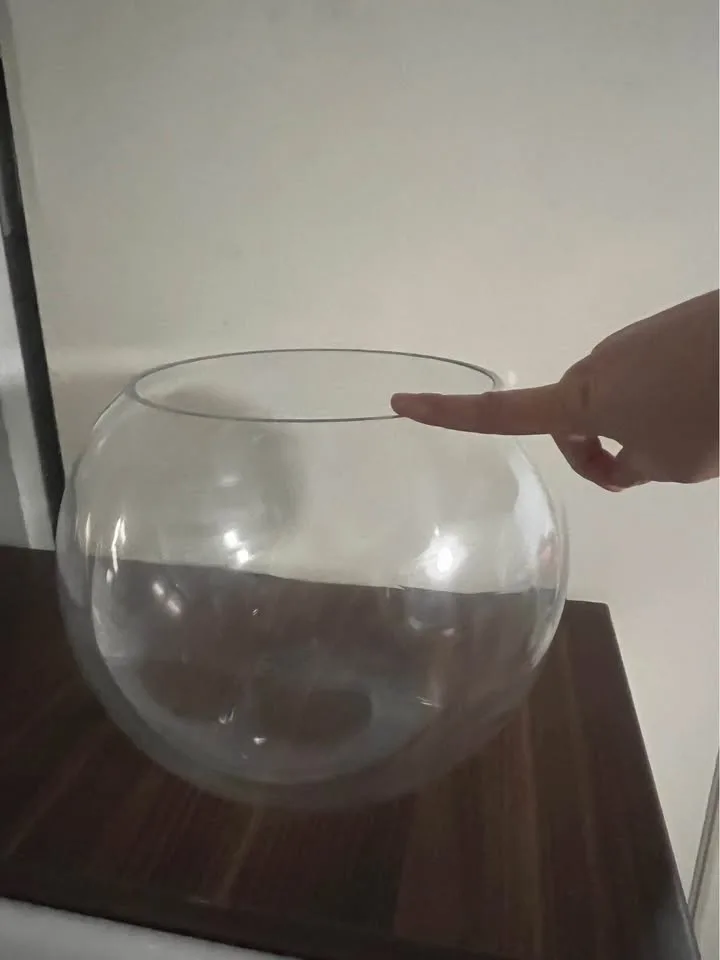 Thick Fishbowl bubble 8.5inch diameter image indicator(4)