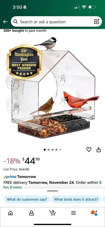 Bird Feeder