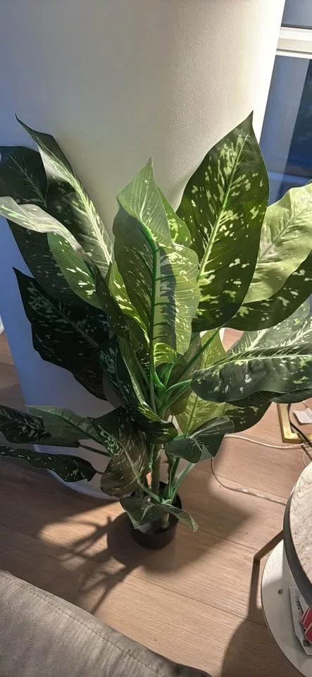 2 SOGUYI Artificial Golden Dieffenbachia Plants 43 Inch Tall image indicator(7)