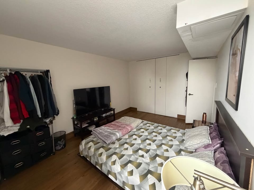 1 Bed 1 Bath - Apartment - photo 3