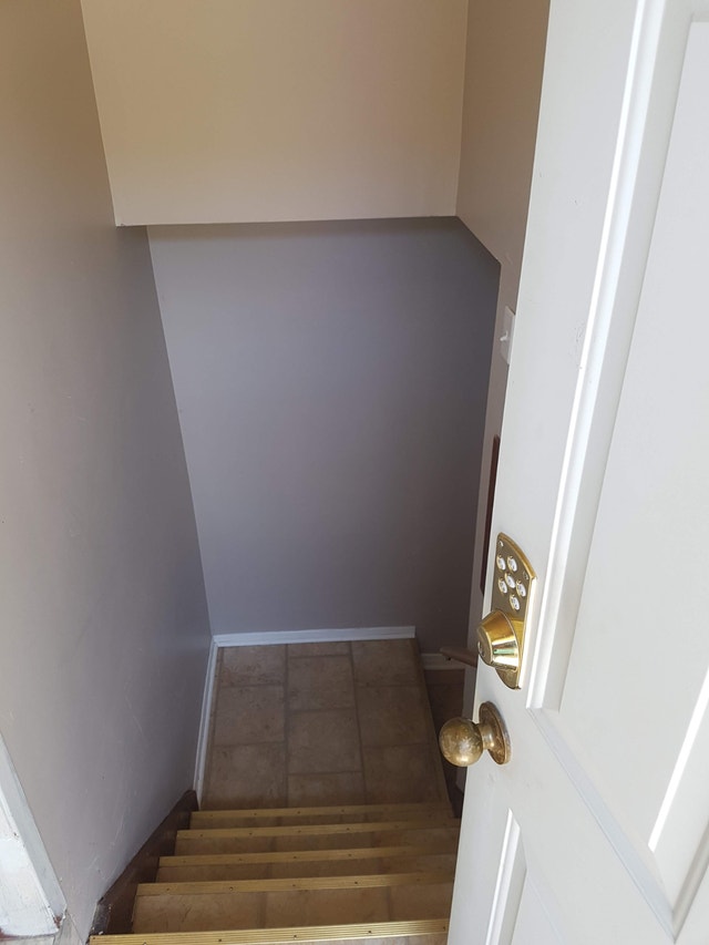 3 bed 1 bath Basement for Rent (across Niagara College!) - photo 3