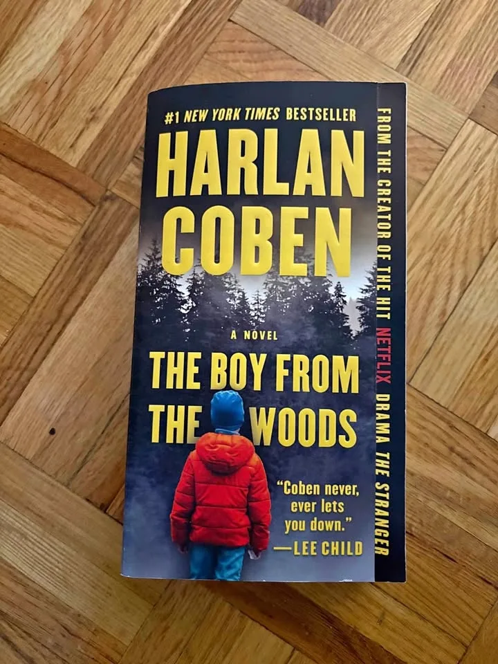 The Boy in the Woods by Harlan Coben