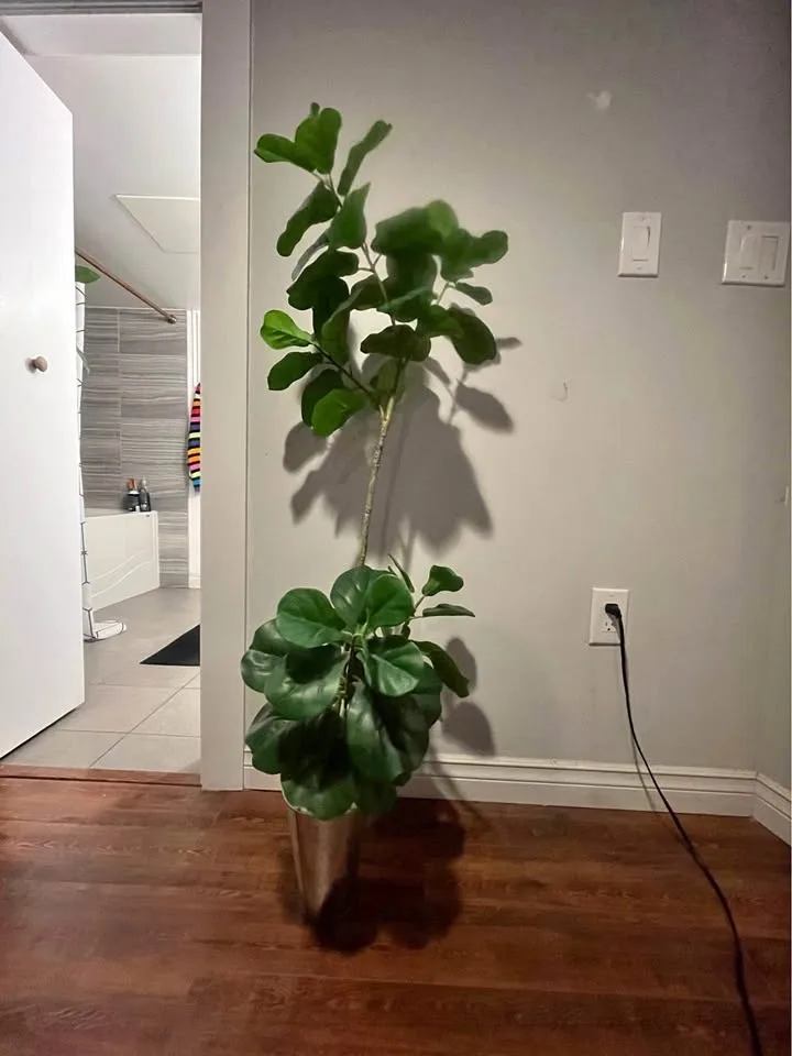 Fake plants in a pot