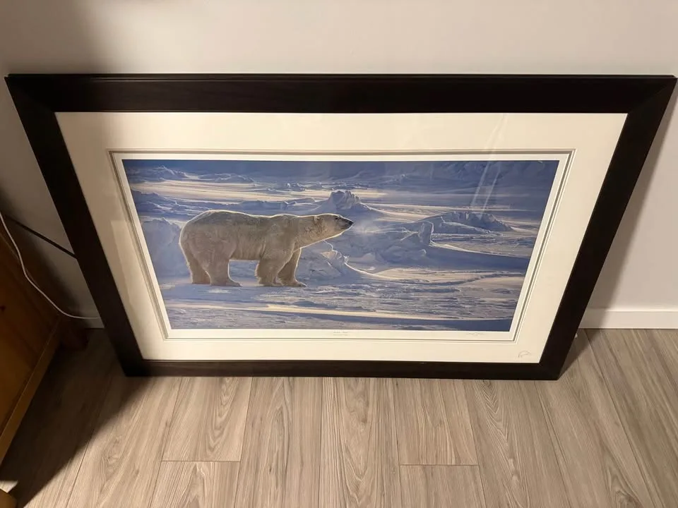 Artic Aura by Daniel Smith image indicator(2)