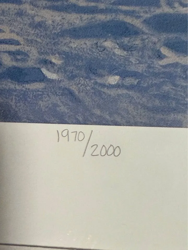 Artic Aura by Daniel Smith image indicator(5)