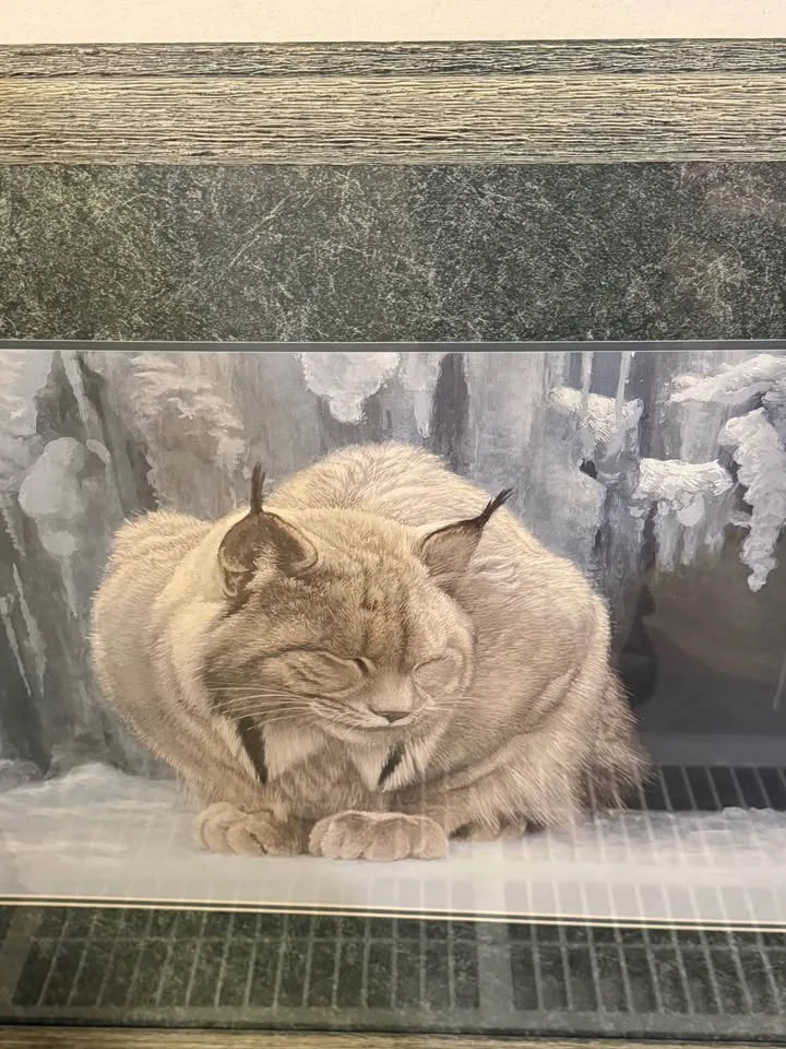 Dozing Lynx by Robert Bateman image indicator(4)