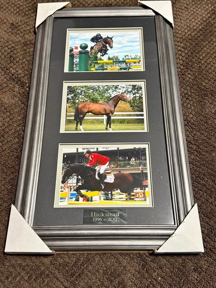 Hickstead Horse Photos