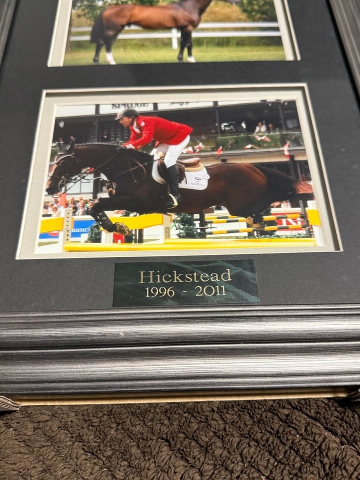 Hickstead Horse Photos - photo 2