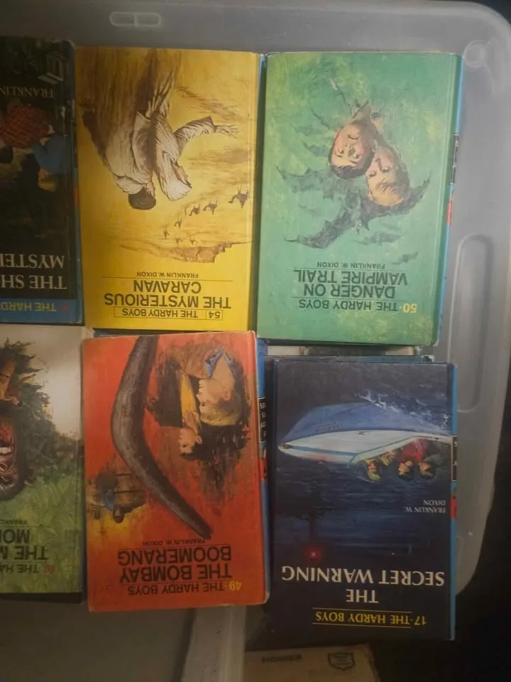 27 Hardy Boys movels image indicator(2)