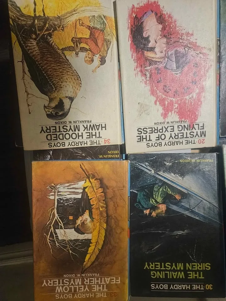 27 Hardy Boys movels image indicator(4)