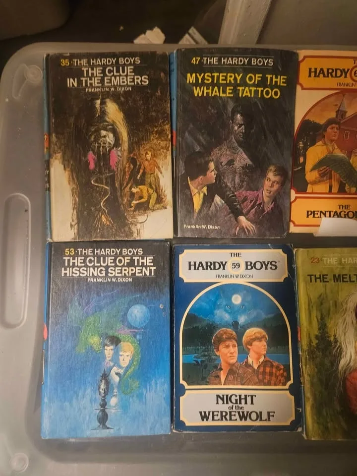 27 Hardy Boys movels image indicator(7)