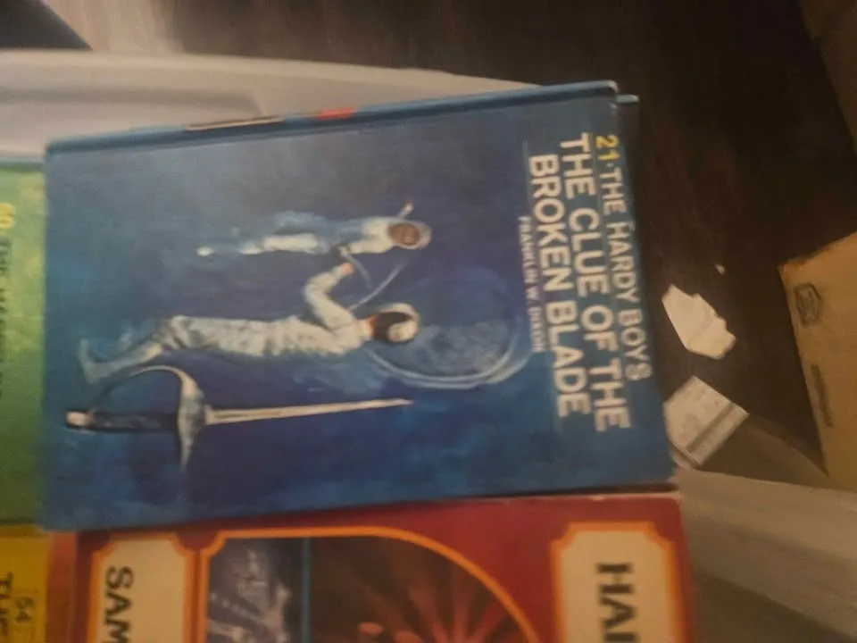 27 Hardy Boys movels image indicator(8)