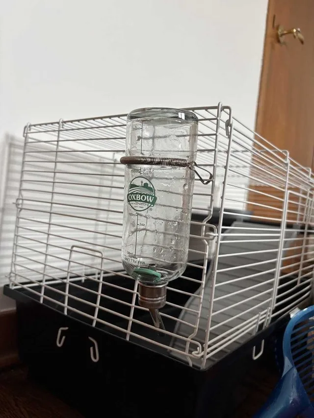 Cage for rodents(hamsters, rats, mice) + all necessary image indicator(5)