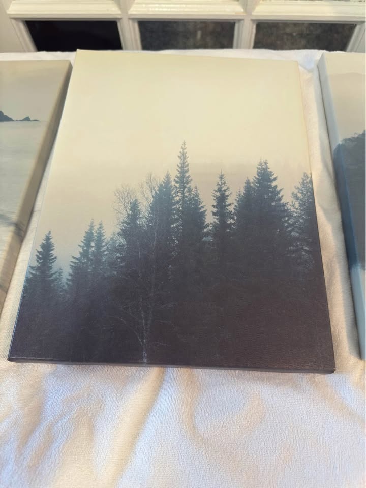 Art canvas (3 peices) $20 for all 3 - photo 3