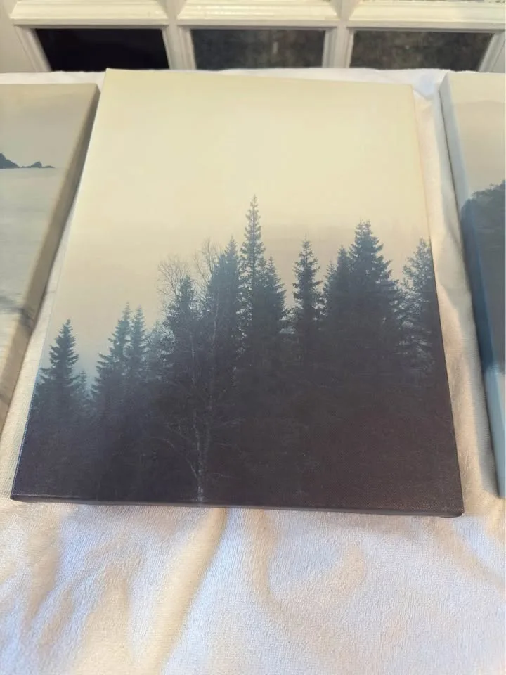 Art canvas (3 peices) $20 for all 3 image indicator(3)