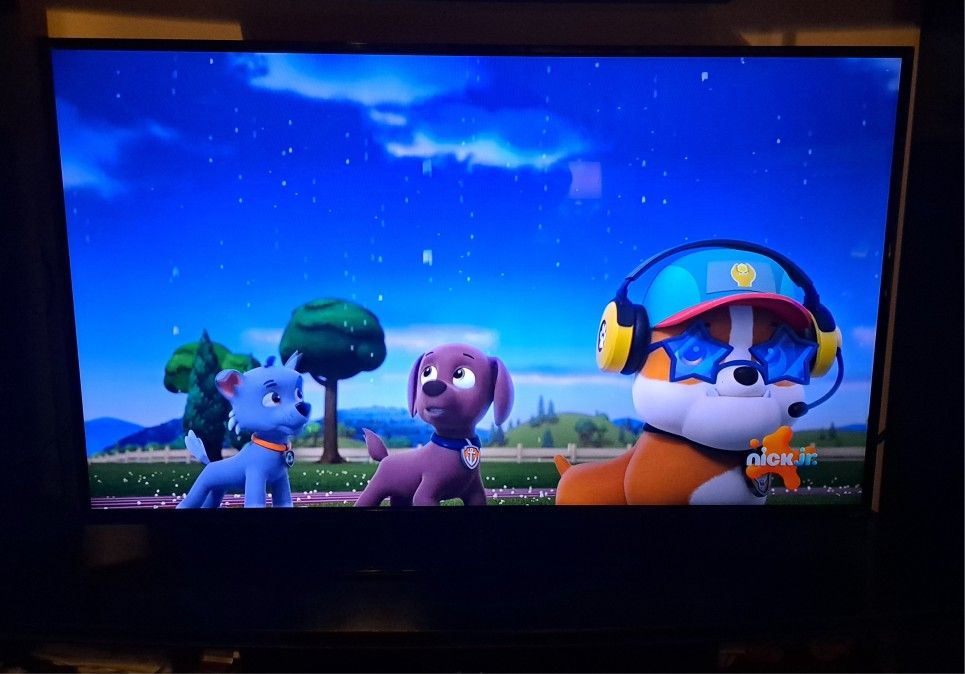 Vizio 55 Inch TV - photo 3
