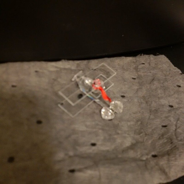 Crystal Dog Flying Plane Figurine - photo 4