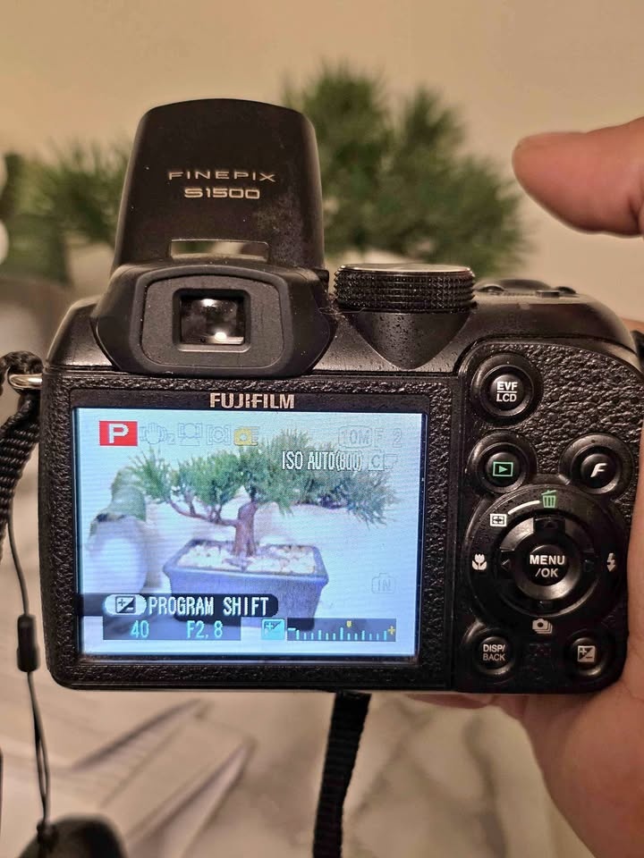 Camera