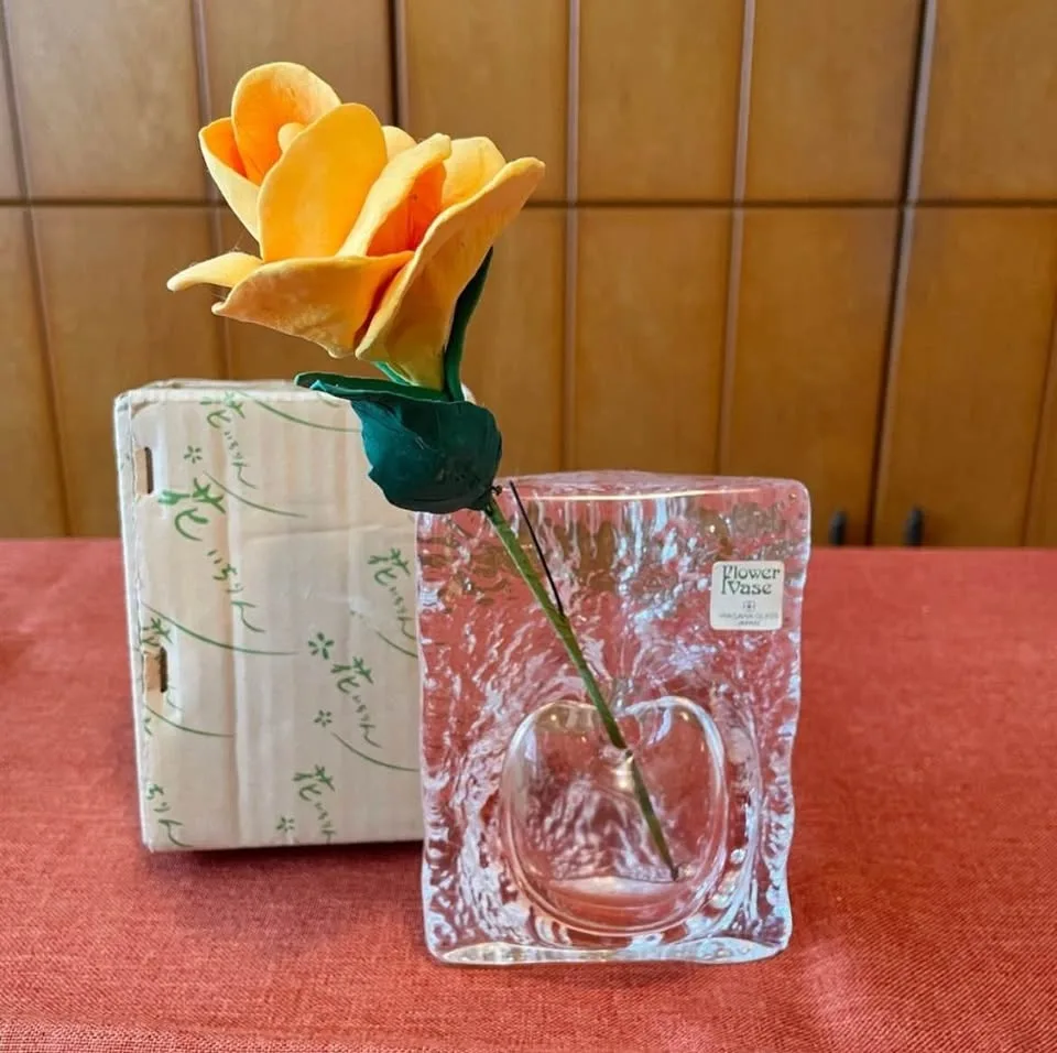 NEW✨Apple Shaped Glass Flower Vase by IWASAWA (Japan) image indicator(6)