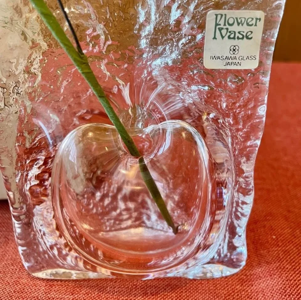 NEW✨Apple Shaped Glass Flower Vase by IWASAWA (Japan) image indicator(7)