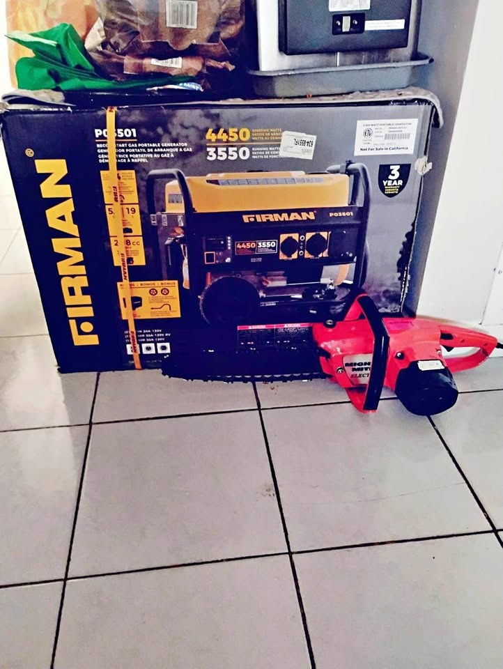 Firman 3550/P03501 Portable Generator