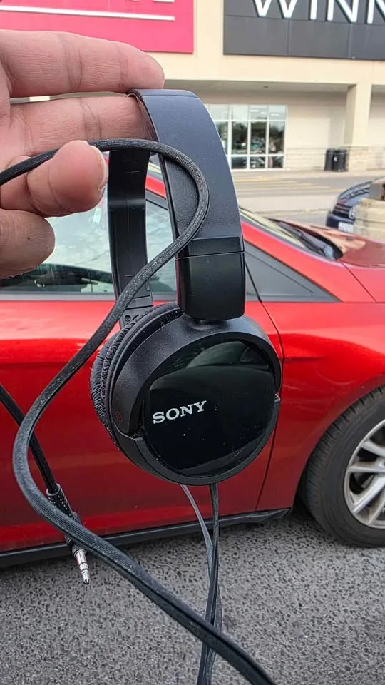 Sony image indicator(2)