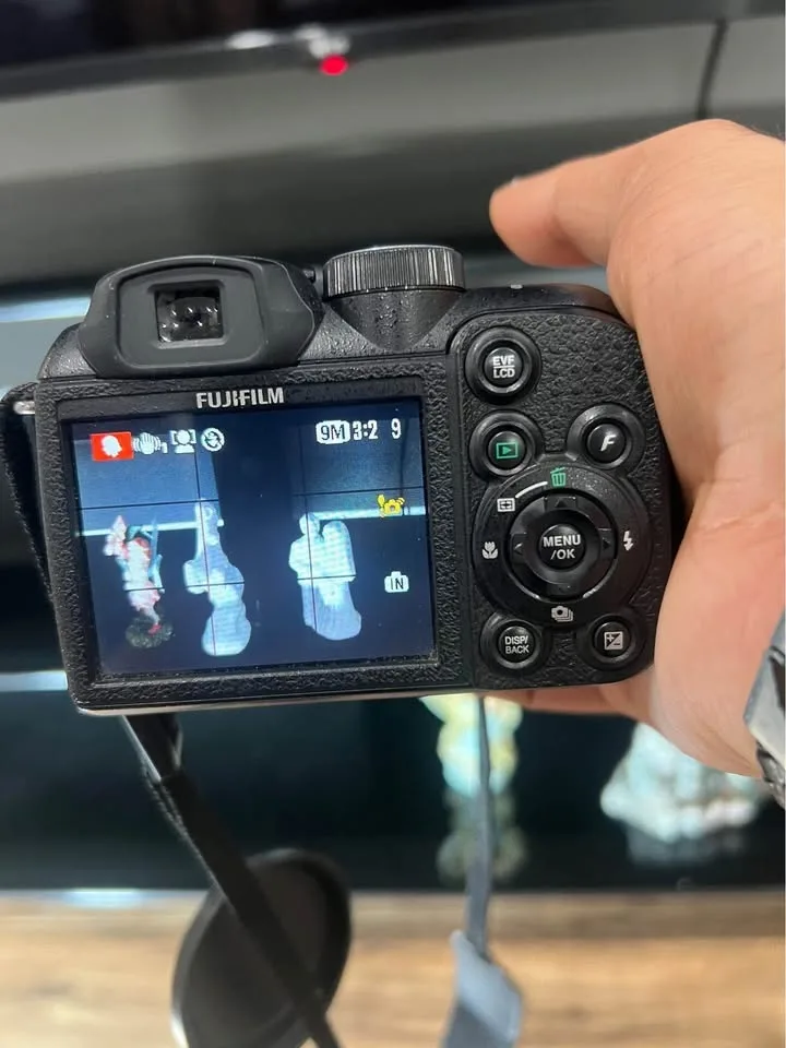 FUJIFILM S1500 image indicator(4)