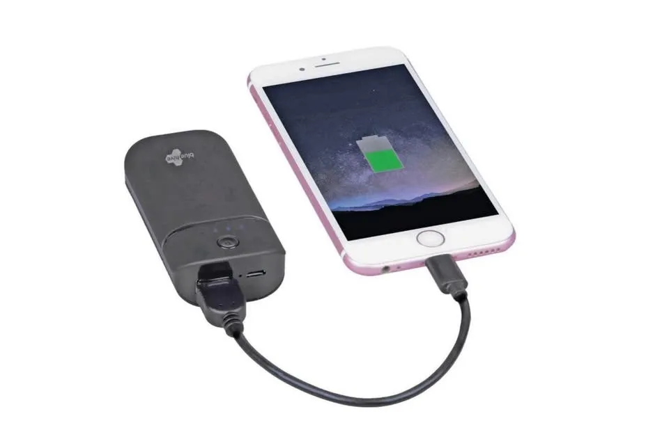 Bluehive 5300 mAh Power Bank image indicator(2)