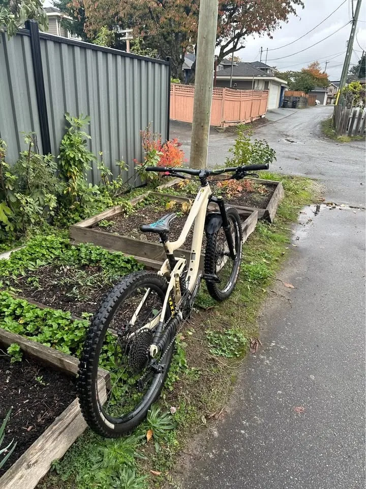 Giant Reign SX 1 Size M image indicator(2)